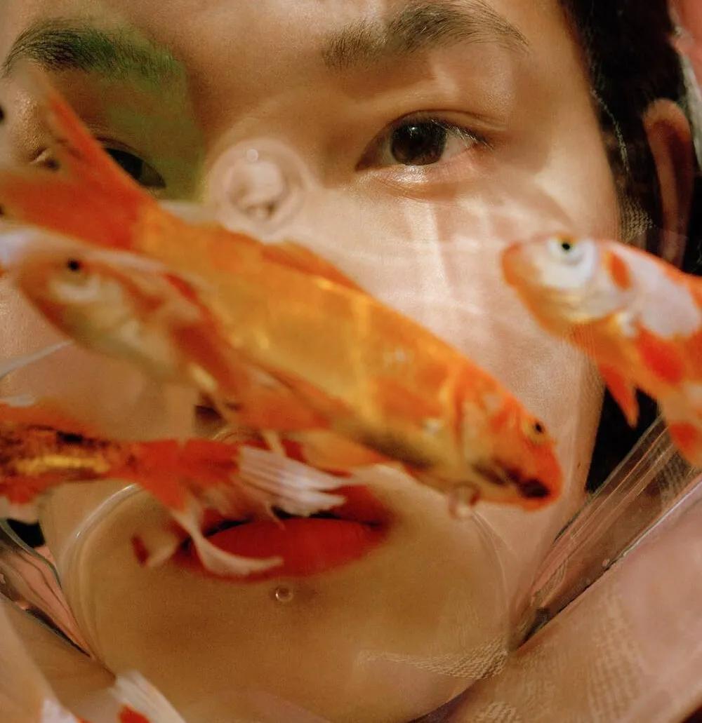 情侣头像100张图集可保存,精选100张超好看头像你一定喜欢