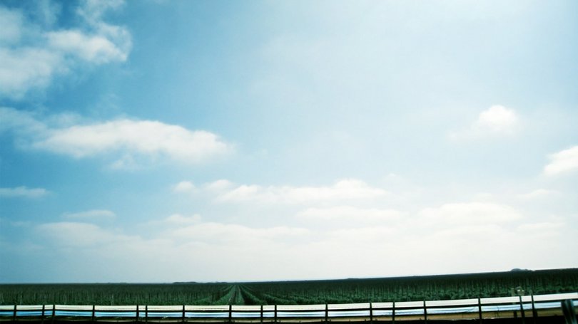 有福气的牛宝宝名字,聪慧的牛宝宝名字大全