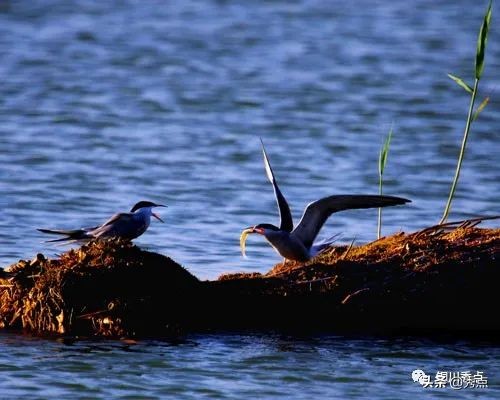 铜川美景照,铜川风景秀丽自然美景