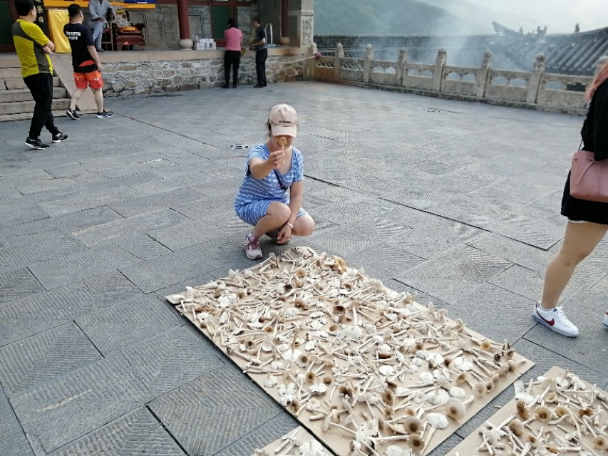 游览佛教圣地五台山,2022年五台山预约免费门票