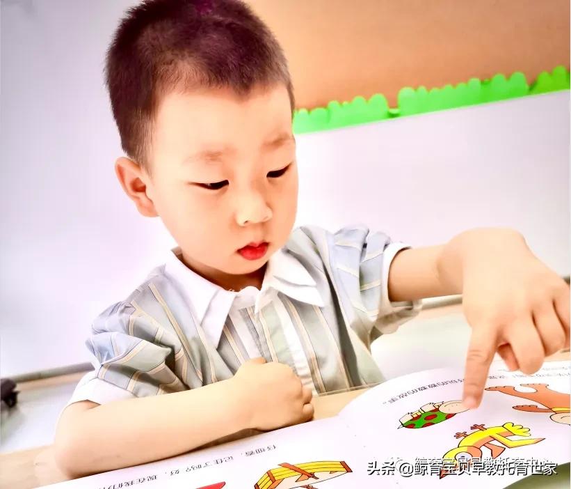 小橙子成长日记,我和橙子的成长日记