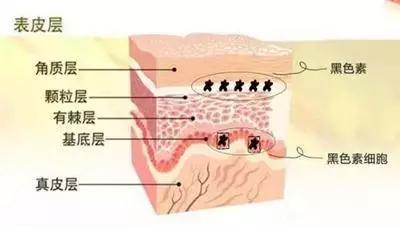 这些护肤成分不要混着用,护肤成分没选对会烂脸
