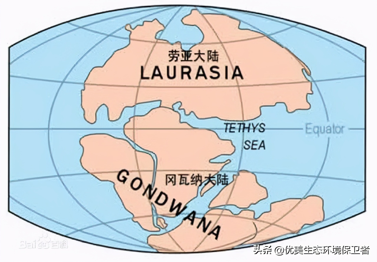 世界第8大洲,世界第八大洲纪实