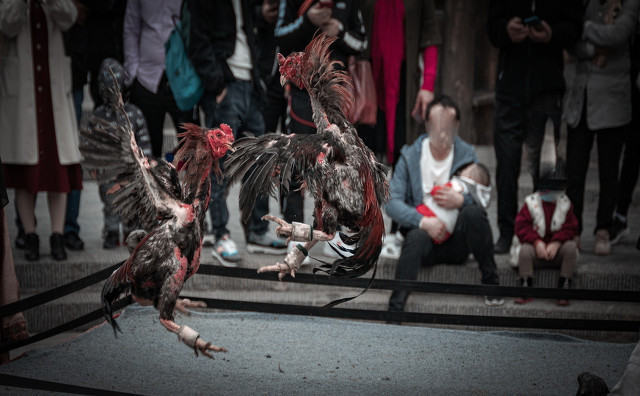 老板对你不满意你应该怎么办,老板对你不满意该怎么办