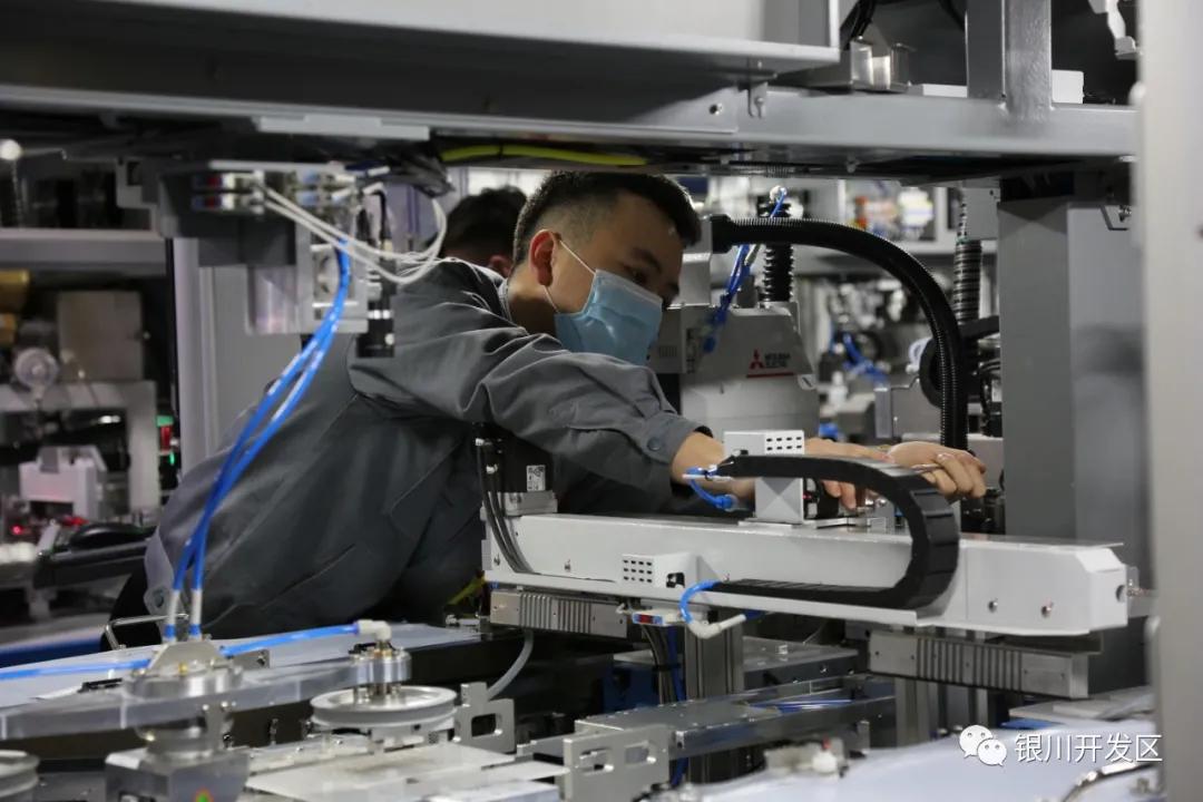 小牛变大牛,小牛变大牛需要多久