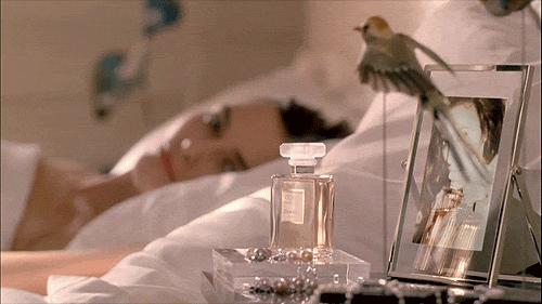 假装买手｜|​你希望自己夏天闻起来是什么味道？