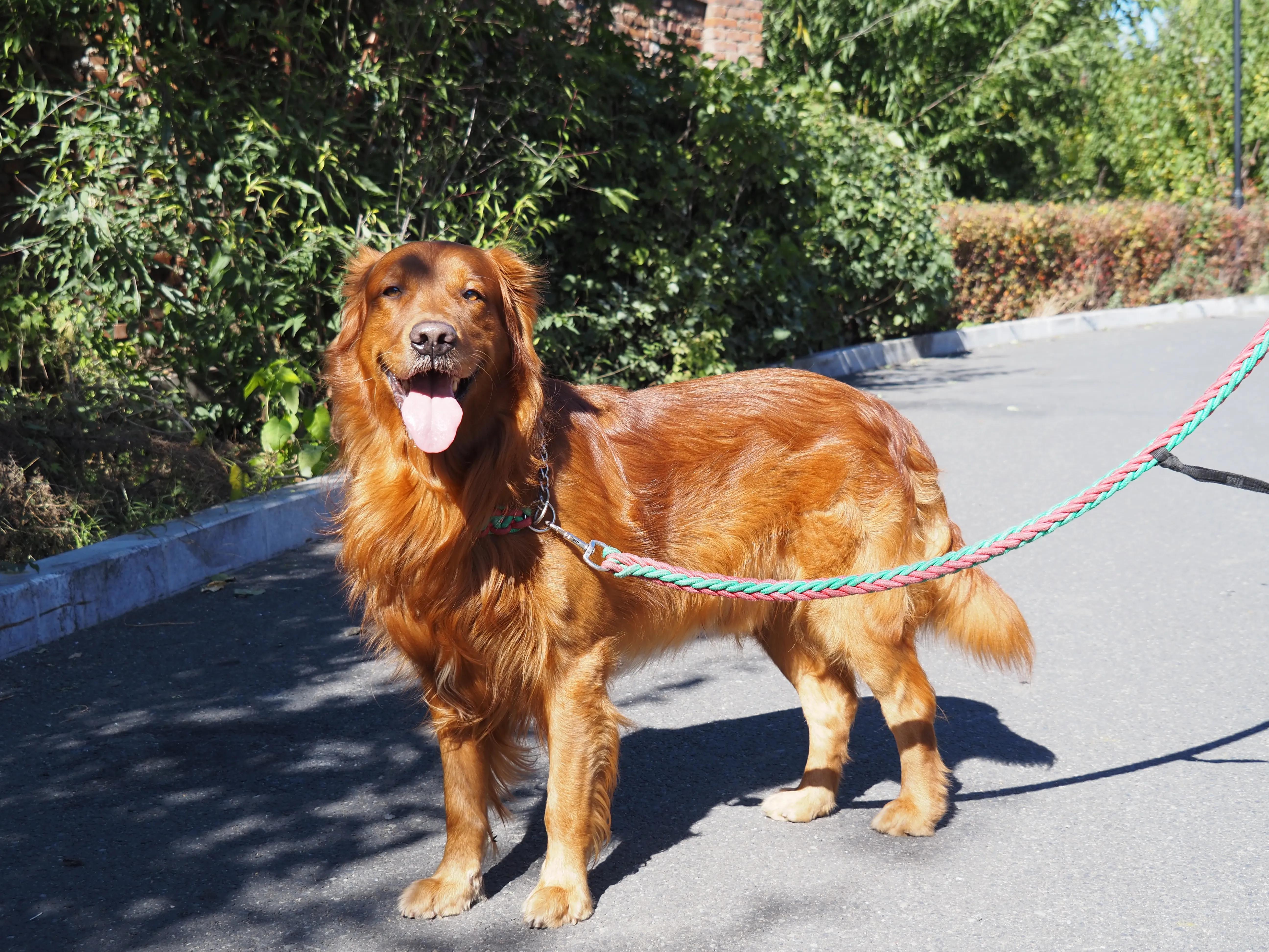 奥林巴斯e-m104代微单相机,奥林巴斯e-m10四代相机开箱