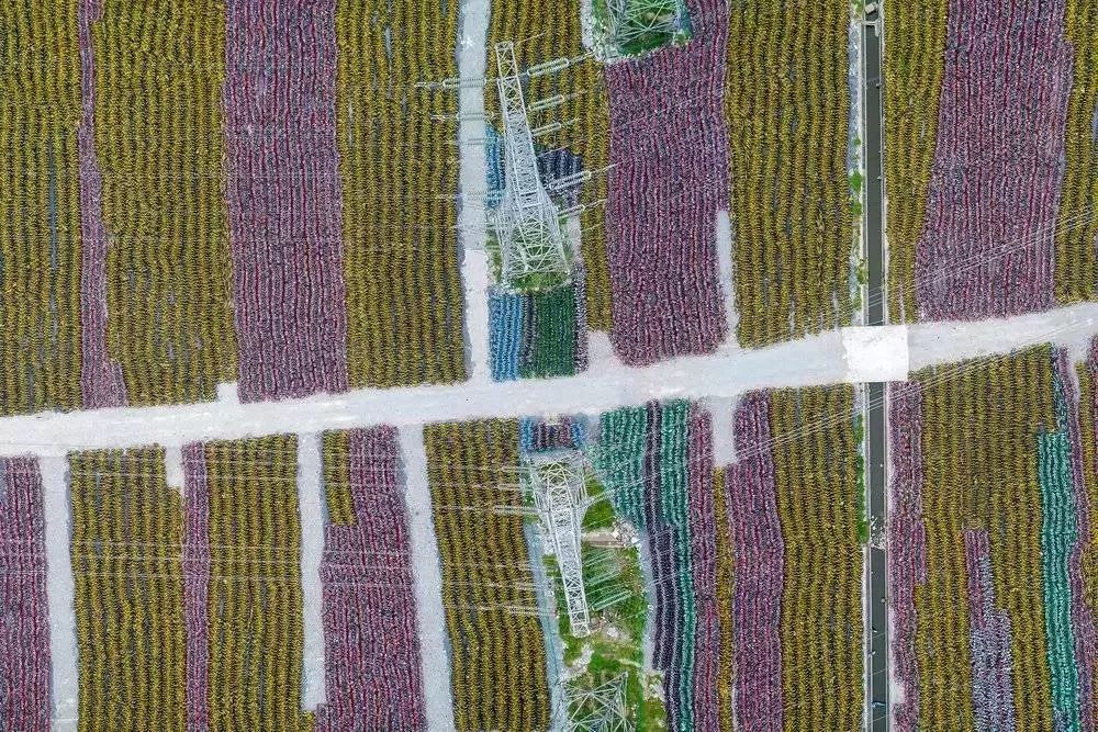 精益六大步骤,精益应该怎么做