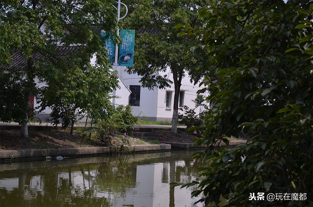 上海以农业为主的区,上海郊区发展最好的镇