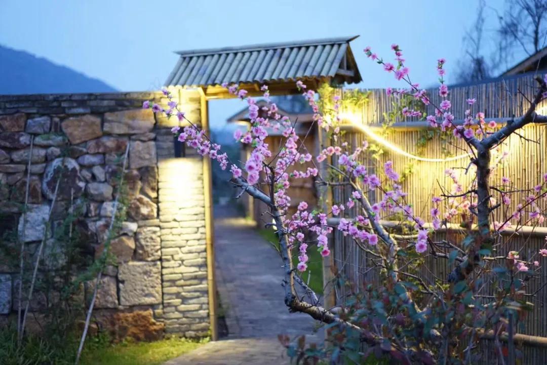 露天温泉小院精品,一房一厅庭院私家温泉