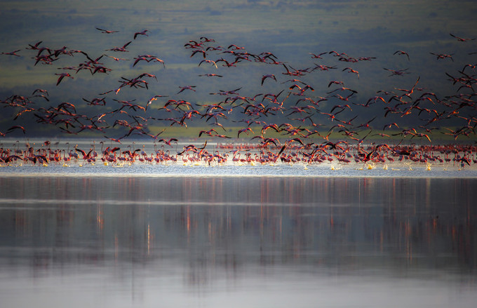 旅行攻略·肯尼亚:跟随《狮子王》震撼你的视觉,哈库拉,玛塔塔