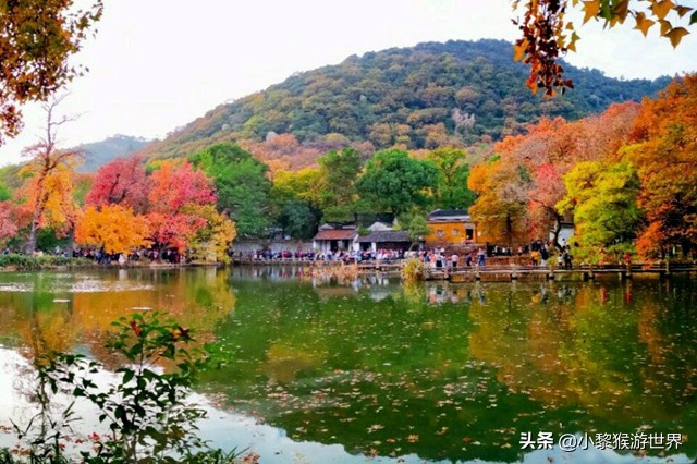 苏州秋季旅游攻略十大必去景点,11-12月份苏州旅游景点推荐