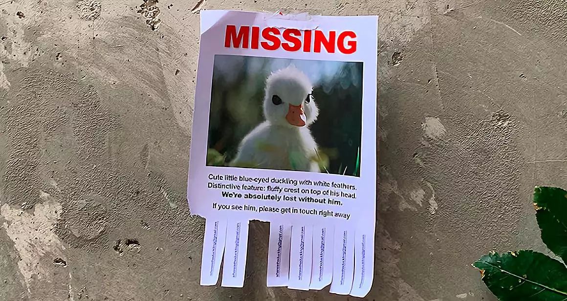 吉祥物走失背后，隐藏着哪些心机？