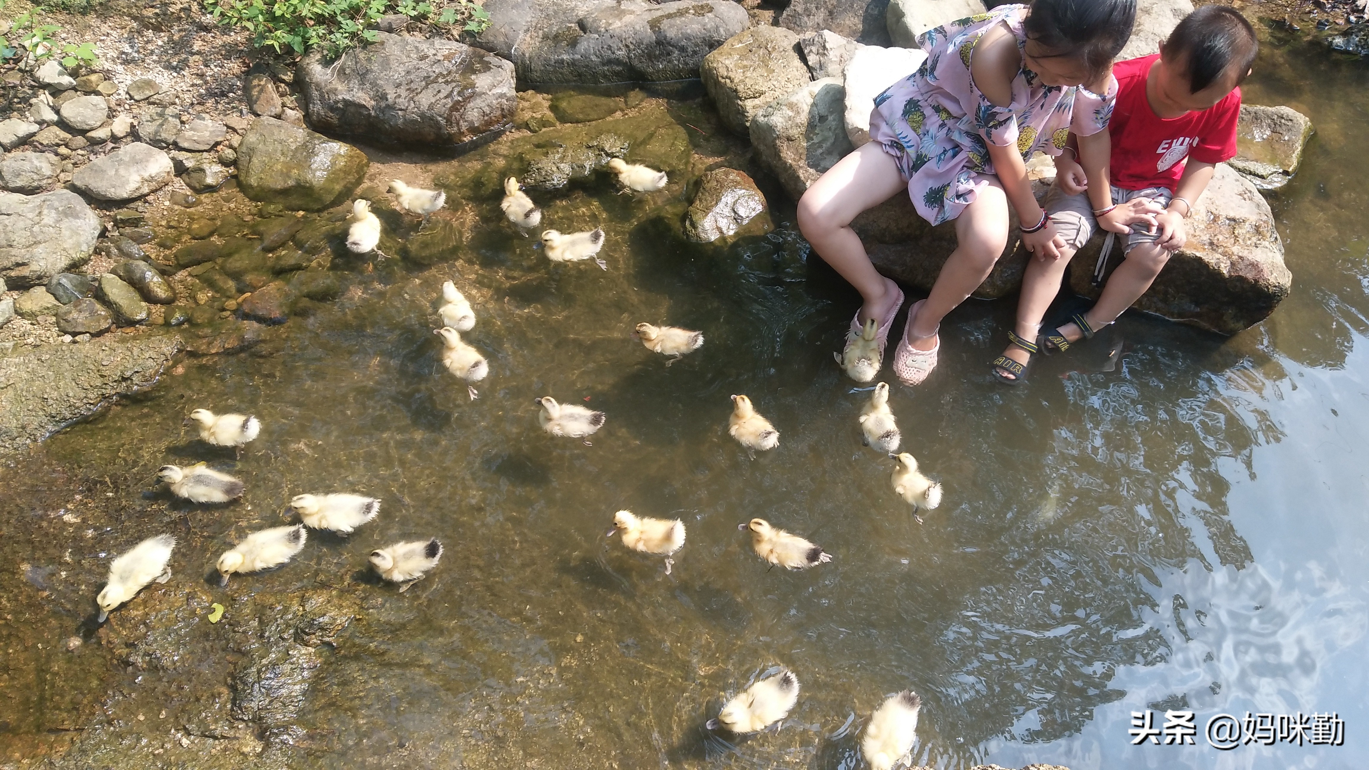 记录下孩子们即将结束的暑假生活,今年暑假你们的孩子是怎么过的