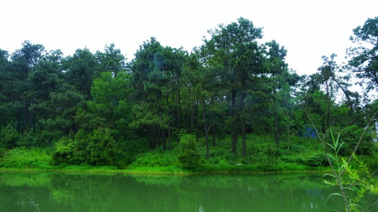 茅山宝盛园周边游玩,茅山宝盛园所有游乐设施