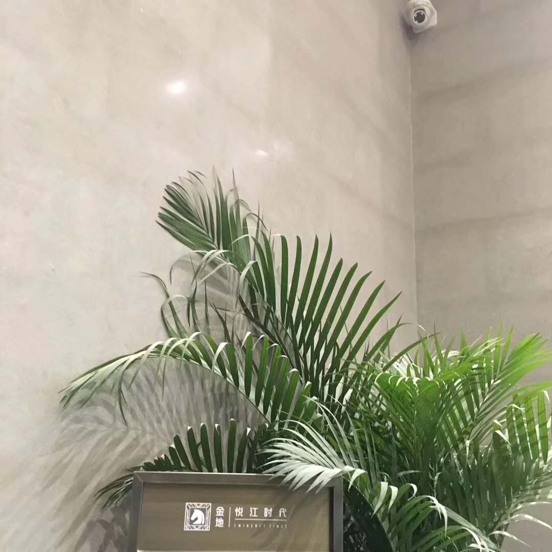 学习一刻!景观材料提升篇——新型石灰岩与常用木材种类!