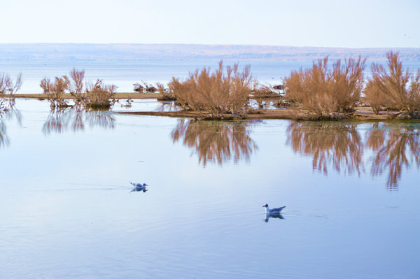 青甘大环线几月份去比较好,甘青大环线旅游跟团游旅行社报价