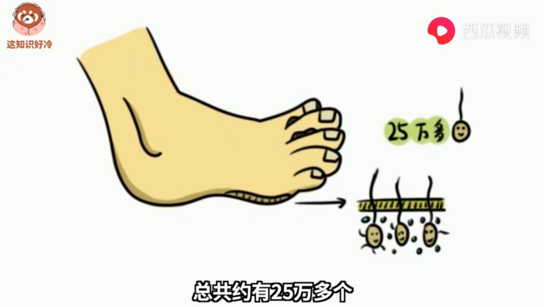 脚酸臭味怎么解决抑菌防臭,刺鼻性脚臭