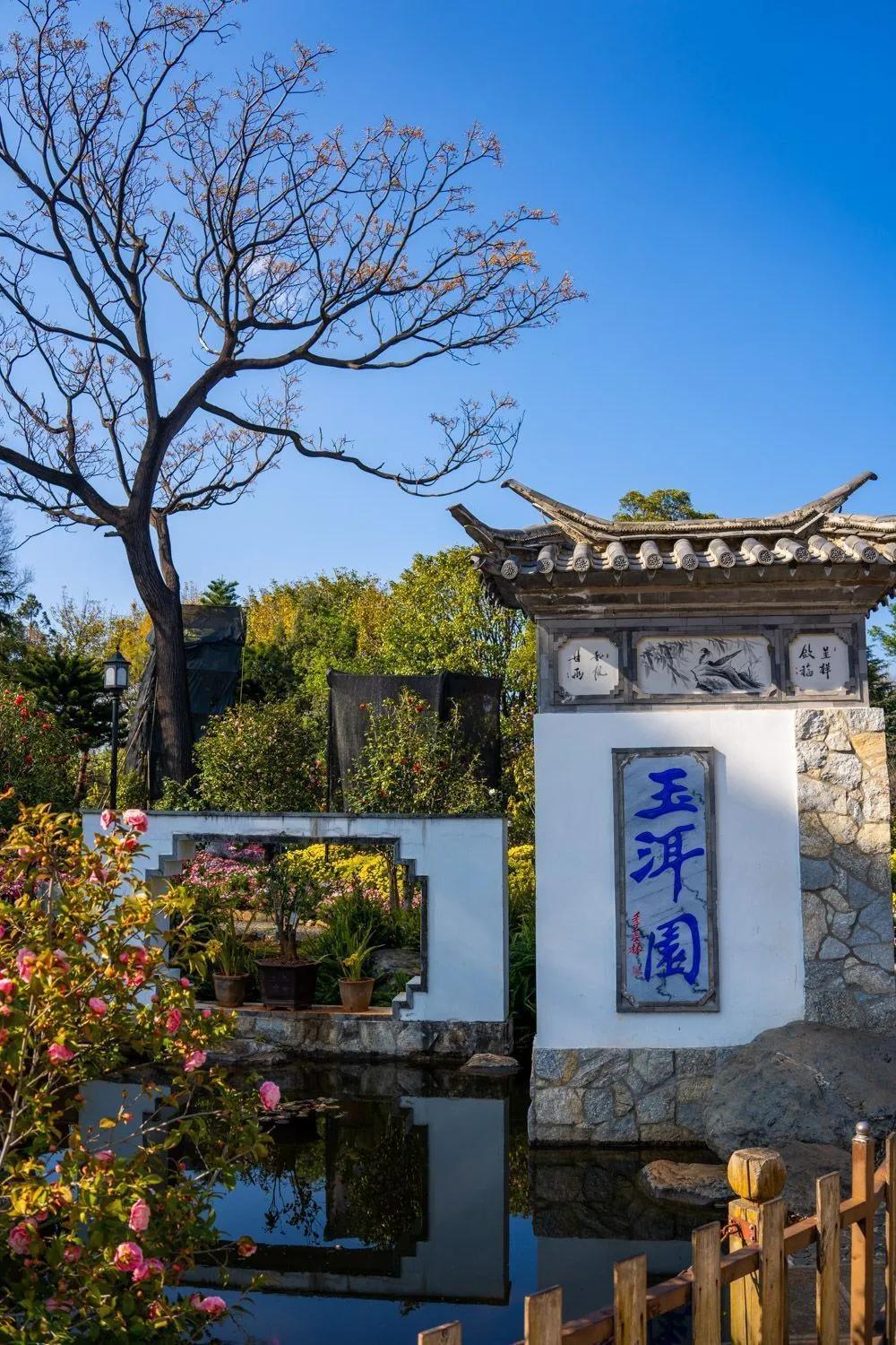 瞧!这花花世界谁不爱