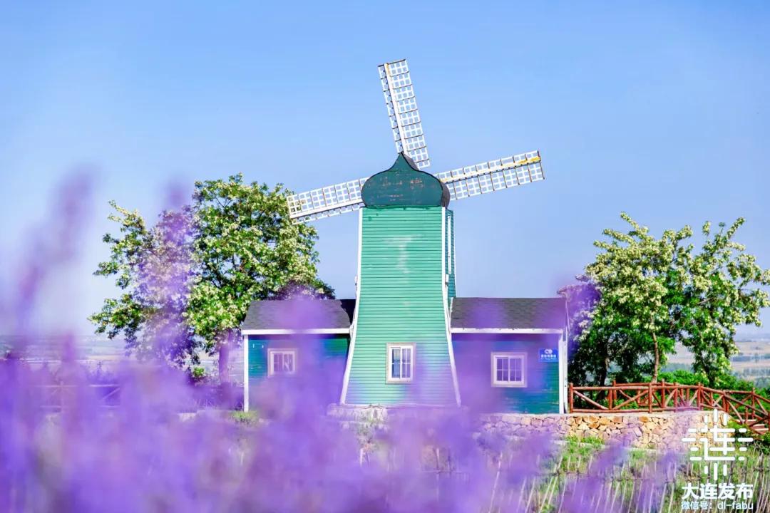 周末去哪玩周边游推荐一个好地方,周边游假期旅游攻略