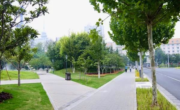 致敬郑州北龙湖,郑州暴雨感人瞬间致敬子弟兵