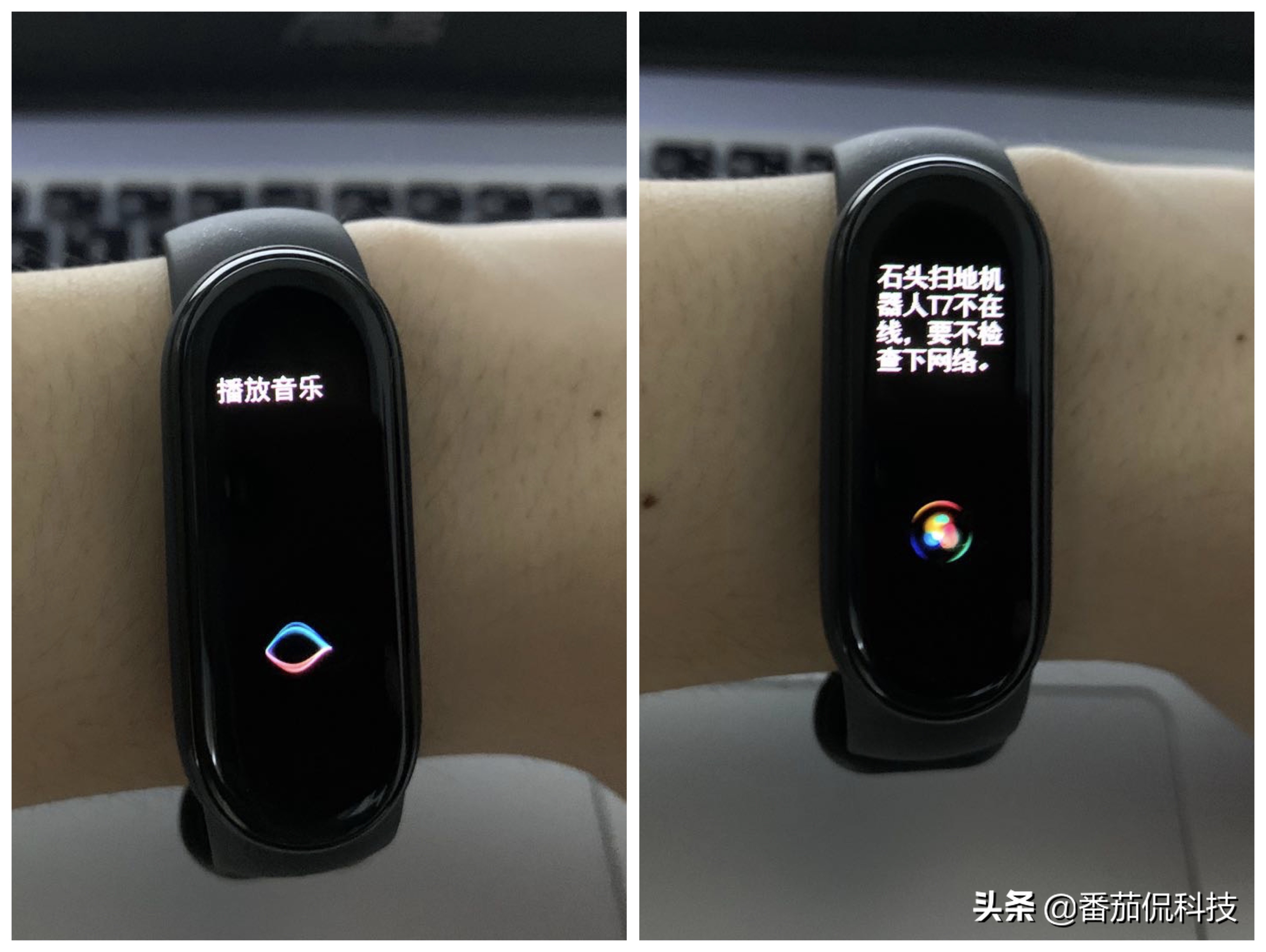 小米手环3和小米手环5,小米手环5和小米手环3手环通用吗