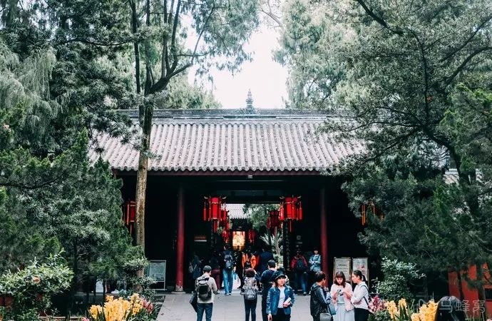 成都旅游远近攻略推荐理由,成都蓉城之秋旅游攻略