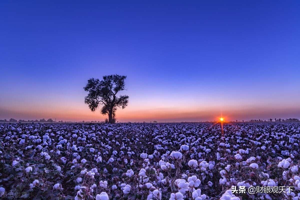连*疆新**人都不知道的*疆新**工业