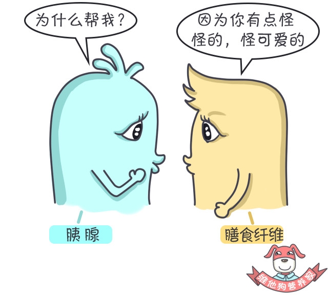 多吃膳食纤维能瘦吗,高膳食纤维对减脂有帮助吗