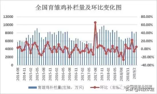 蛋鸡养殖风险大吗,蛋鸡的风险