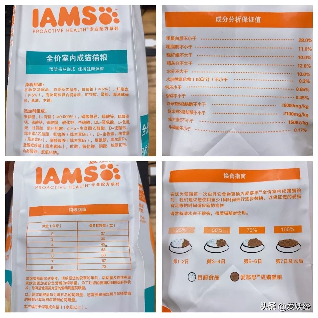 铲屎官减肥瘦身,吐毛球的铲屎官