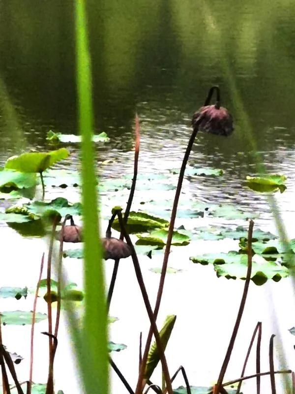 手拍世界微信公众号,手拍世界完整版视频