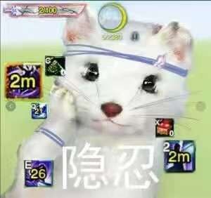 剑网3梯云纵技能,剑网三苍云吃鸡手法