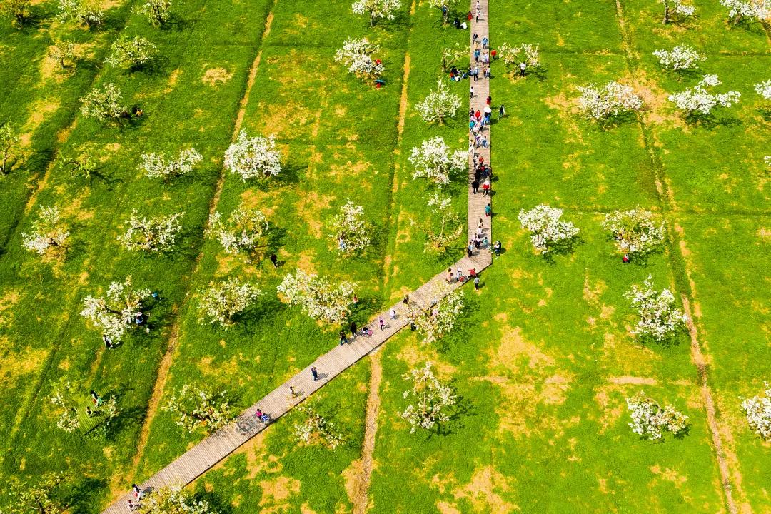 三省交界的风景区,鸡鸣三省交界地图