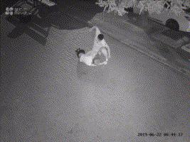 2019年影响力最高的十篇更新，最让你感到震撼的是哪一篇？