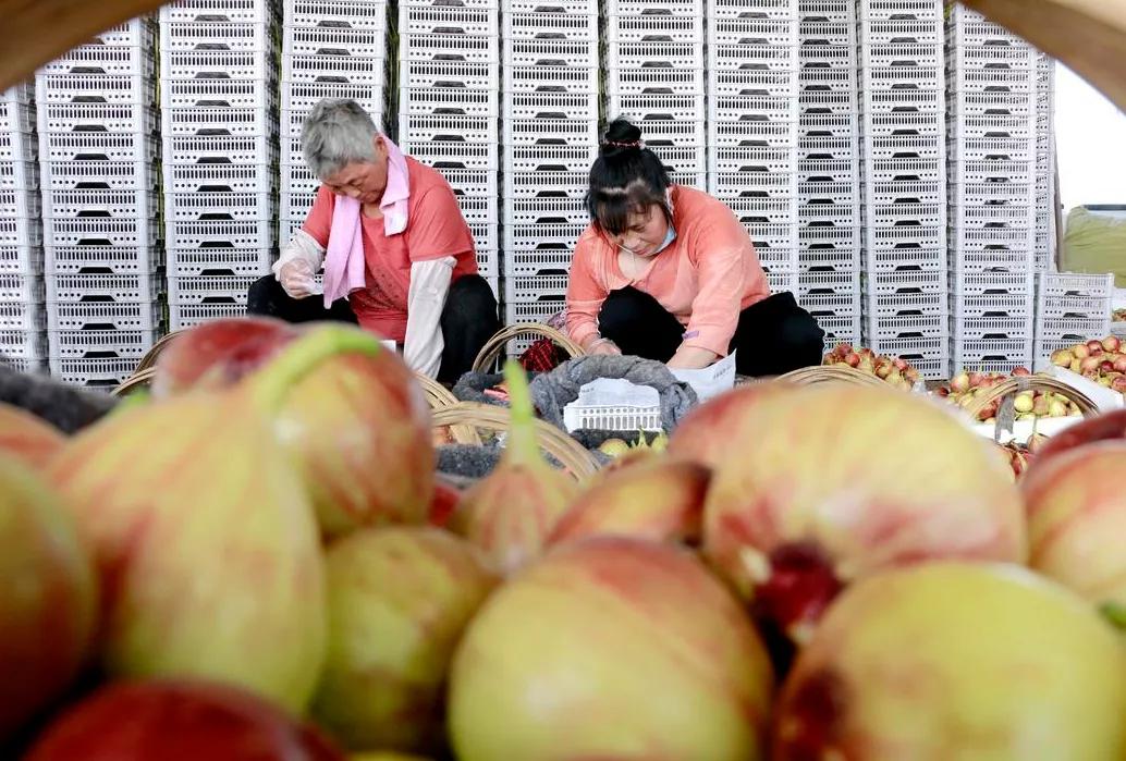 来赴一场雪乡长白山之约,来赴一场冬日的黄金之约