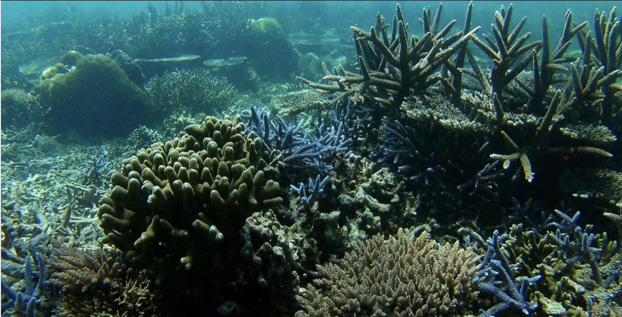 出发！风下之乡-马来西亚的蓝色天堂沙巴