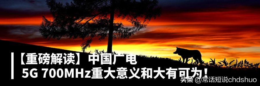 「观察」某动宽带必败