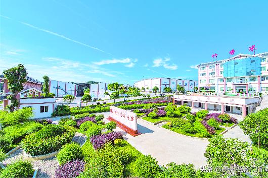 特色食品工业化生产,组织化规模化特色化