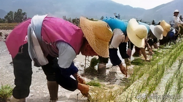 迷惑大赏,lv奢侈品草帽