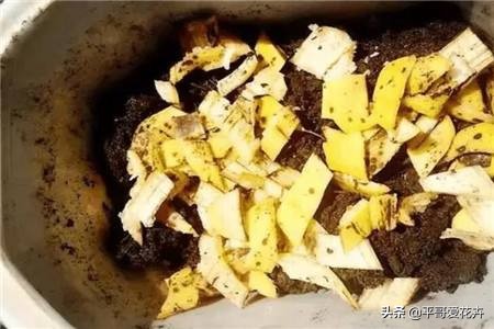 土壤缺少营养怎么补,土壤贫瘠改善