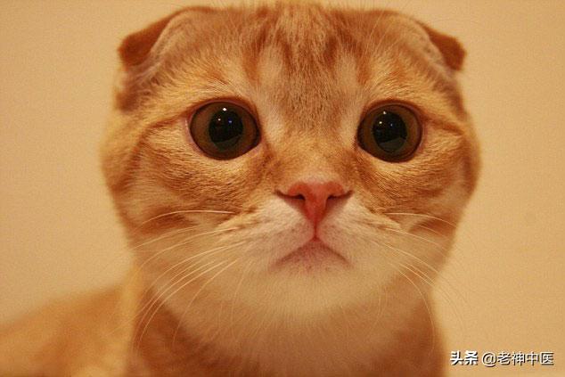 抑郁症自杀每年超过10万人，拿什么拯救，最亲爱的你