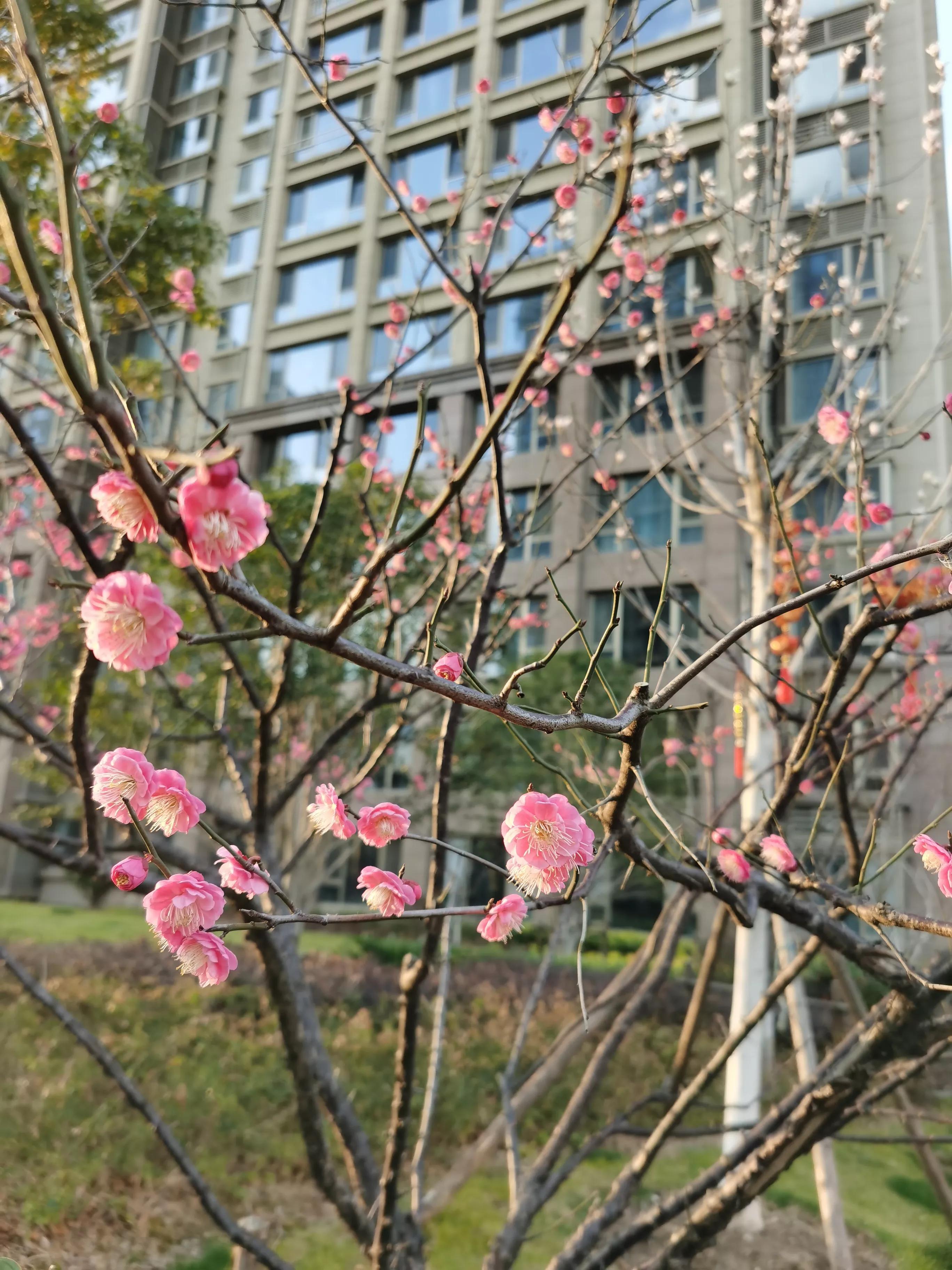 后视镜被撞掉了换一个新的多少钱,后视镜被撞掉了能装好吗