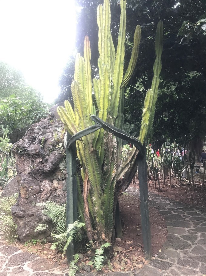 海口约会一日游,海口夜晚适合约会浪漫的地方