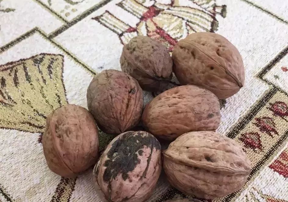 “25岁，第一场艳遇后，上瘾了”