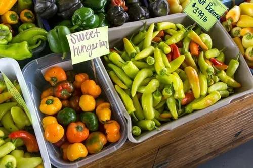 肉末茄子买菜 (买菜挑选茄子怎么选好的)