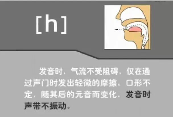 英语音标发音表48个音标正确读法,英语干货48个音标快速记忆法下