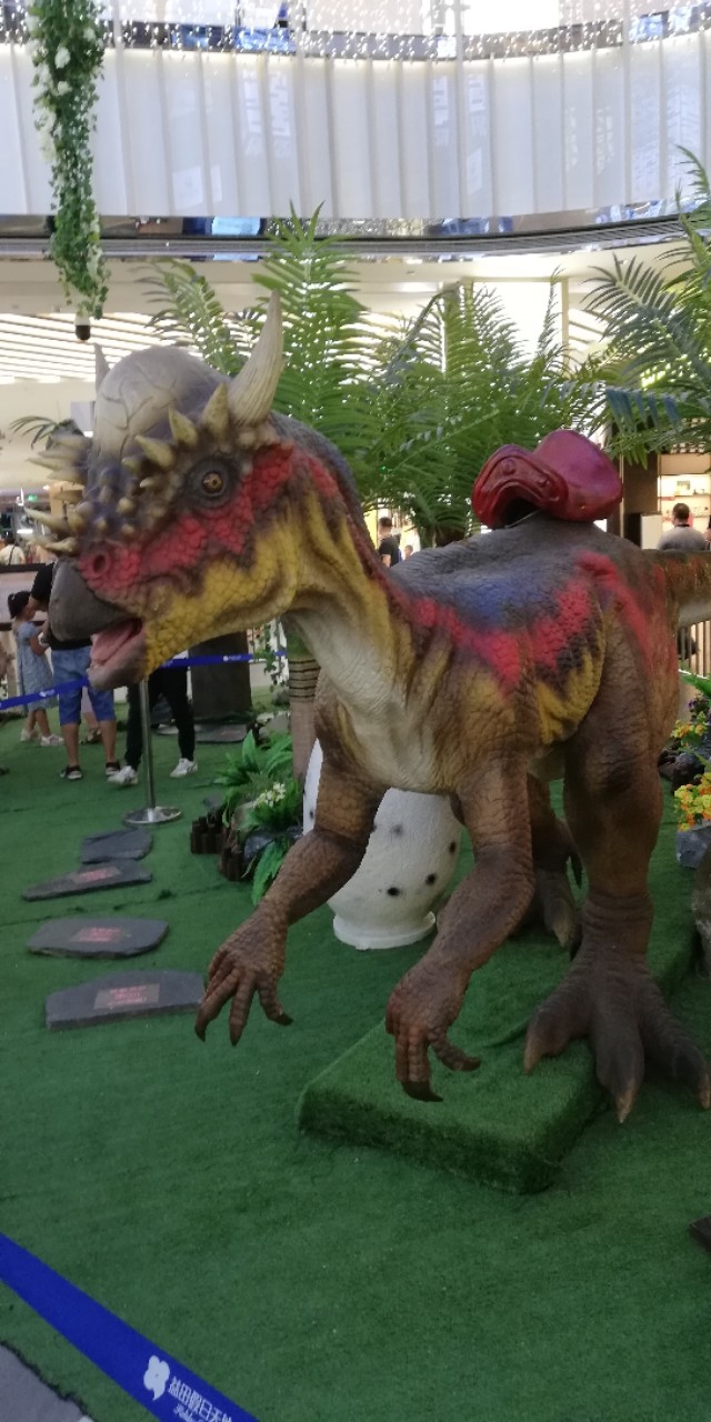 霸王龙恐龙骨架模型,恐龙模型制作全过程