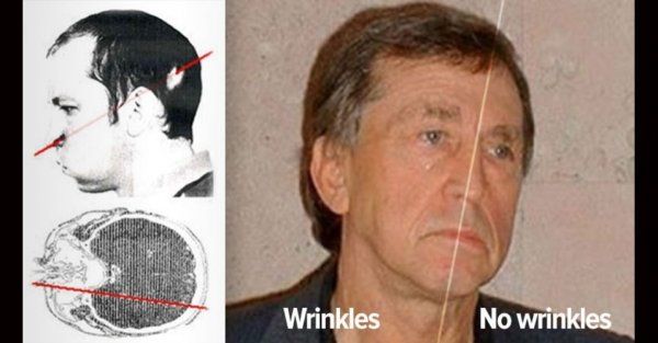 把头伸进粉碎机,把头伸进粒子加速器