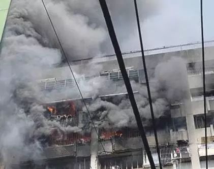 景区里的消防栓,广东景区山泉源头竟然是消防栓